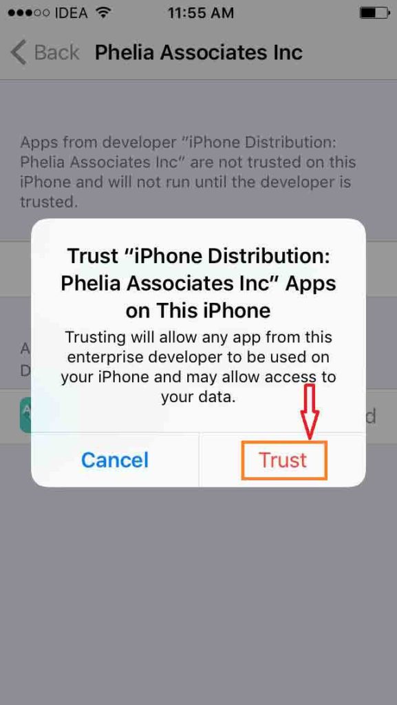 Trust Phelia Assosicates Inc